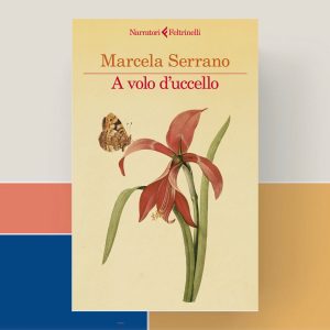Recensione di A volo d'uccello